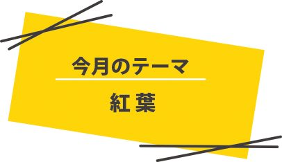 おすすめスポット10-11月